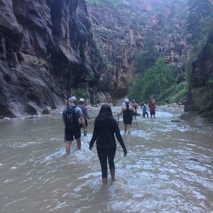 Meet your Posher, Lucy